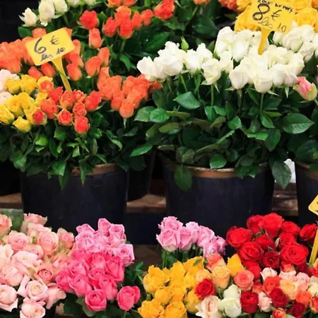 Florian 103 Апартаменты